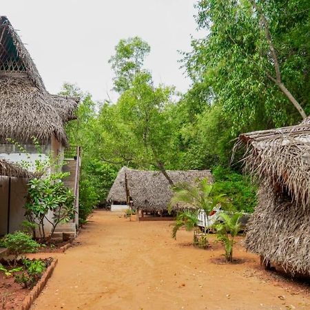 Nebula Nest Cafe & Hostel Auroville Kültér fotó