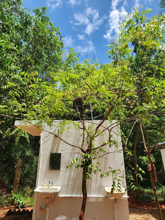 Nebula Nest Cafe & Hostel Auroville Kültér fotó