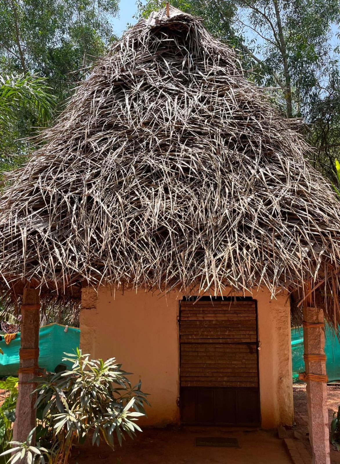 Nebula Nest Cafe & Hostel Auroville Kültér fotó