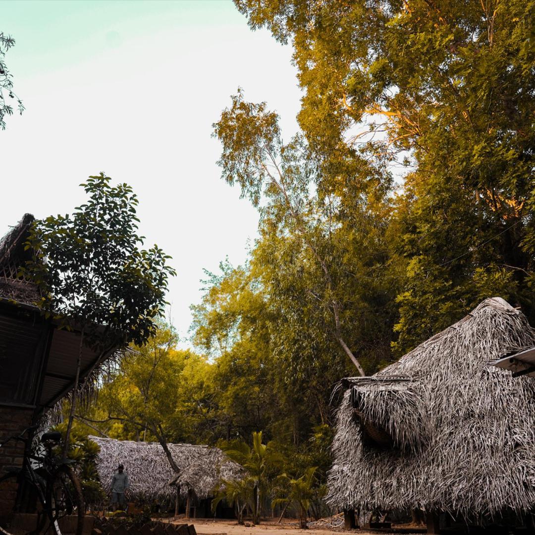 Nebula Nest Cafe & Hostel Auroville Kültér fotó