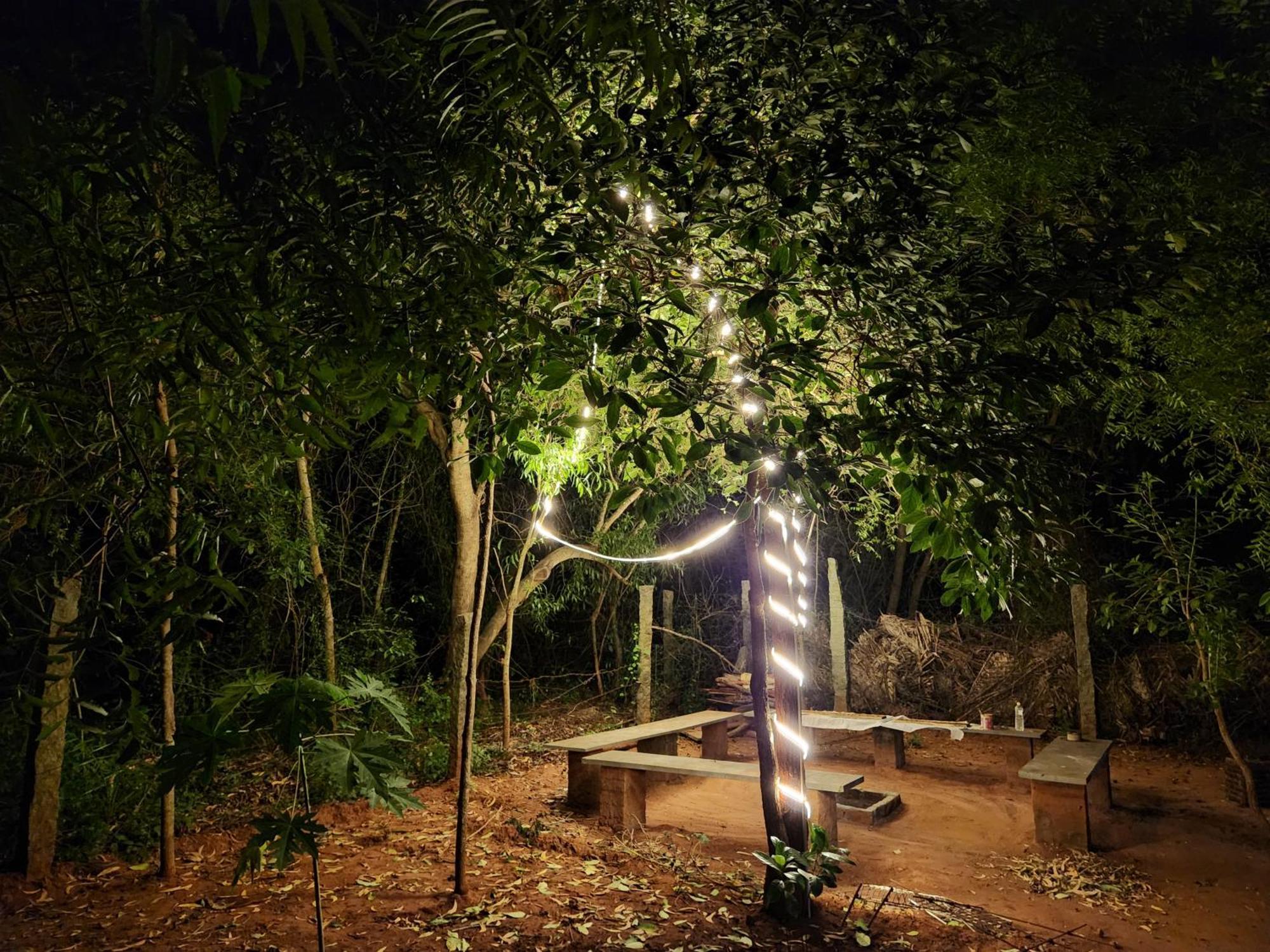 Nebula Nest Cafe & Hostel Auroville Kültér fotó